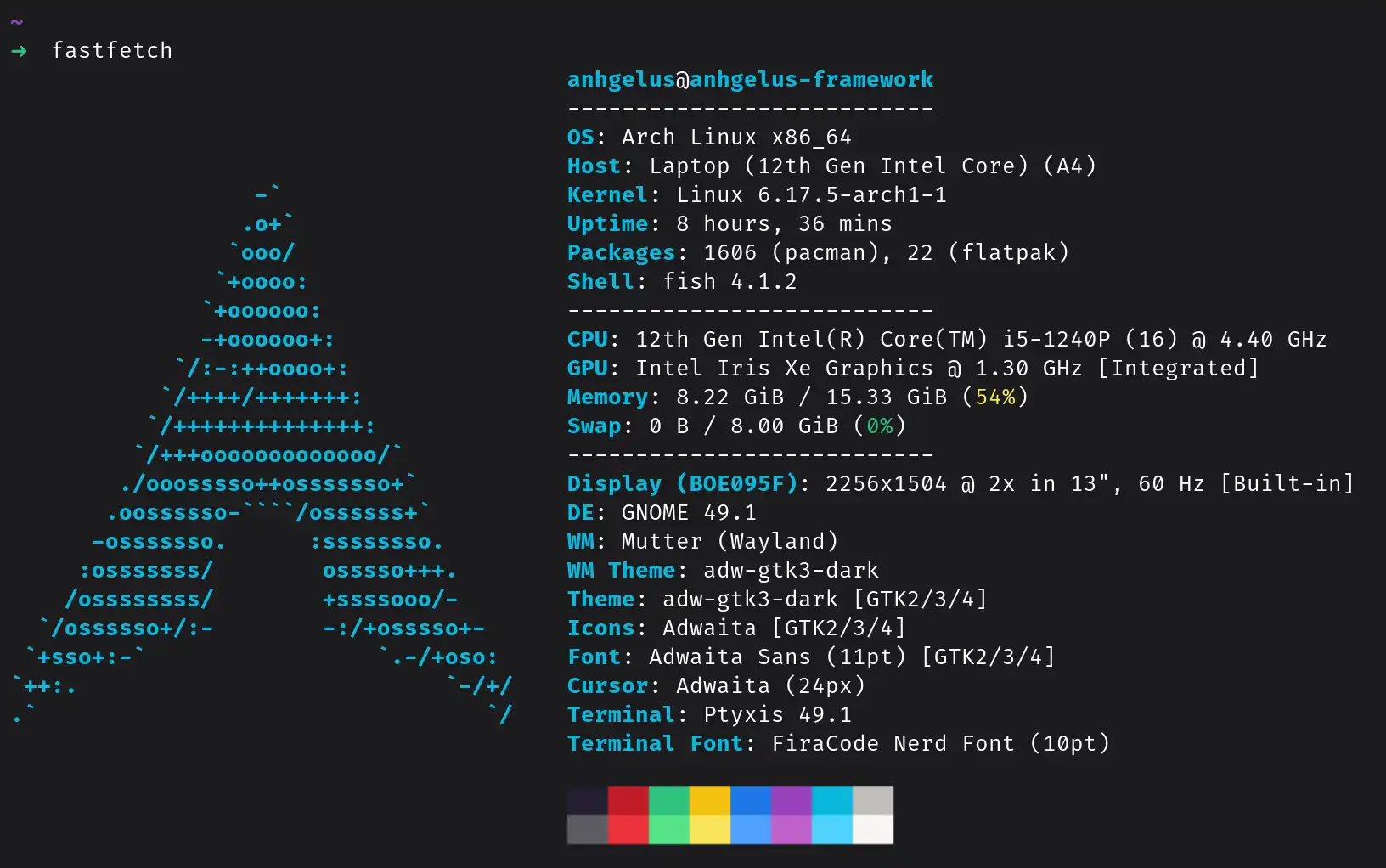 Image des caractéristiques de mon laptop