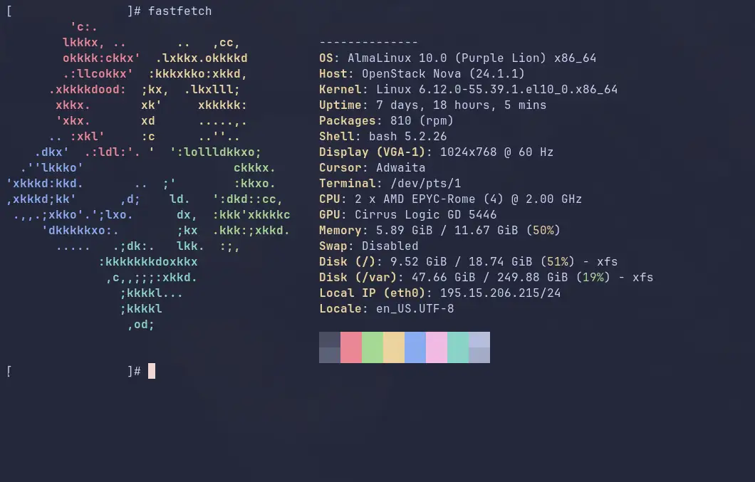Image d'un terminal montrant une configuration système.